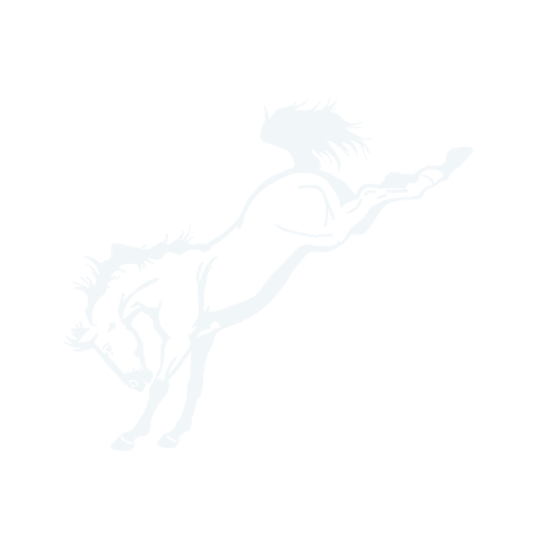 Nesto logo